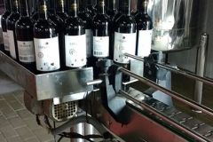 Vinicola_Casa_Geraldo-35