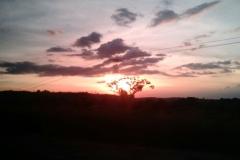 Vinicola_Casa_Geraldo-4