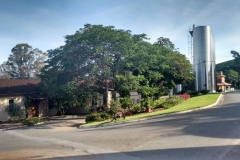 Vinicola_Casa_Geraldo-5