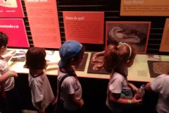 Zoologico - Liceu di Thiene 01