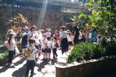 Zoologico - Liceu di Thiene 02