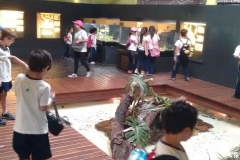 Zoologico - Liceu di Thiene 04