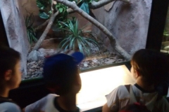 Zoologico - Liceu di Thiene 05