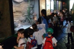 Zoologico - Liceu di Thiene 09