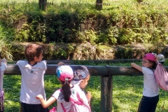 Zoologico - Liceu di Thiene 10