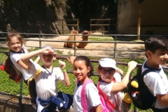 Zoologico - Liceu di Thiene 12