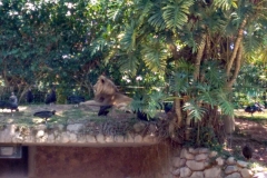 Zoologico - Liceu di Thiene 13