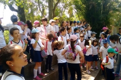 Zoologico - Liceu di Thiene 14