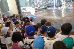 Zoologico - Liceu di Thiene 16