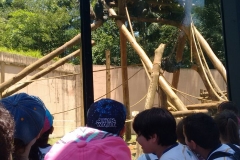 Zoologico - Liceu di Thiene 17