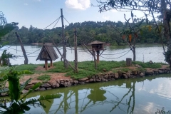 Zoologico - Iemano 05