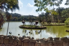 Zoologico - Iemano 06