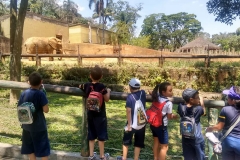 Zoologico - Iemano 07