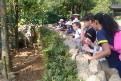 Zoologico - Iemano 09