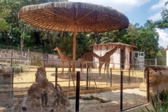 Zoologico - Iemano 12