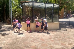 Zoologico - Iemano 13